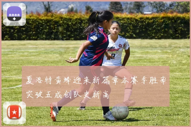 夏洛特黄蜂迎来新篇章本赛季胜率突破五成创队史新高