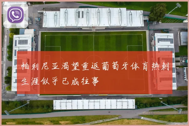 帕利尼亚渴望重返葡萄牙体育热刺生涯似乎已成往事